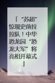 “苏超”惊现史前拉拉队！中华恐龙园“恐龙大军”将亮相开幕式