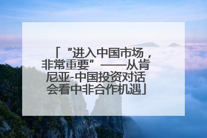 “进入中国市场，非常重要”——从肯尼亚-中国投资对话会看中非合作机遇