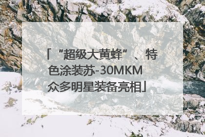 “超级大黄蜂”、特色涂装苏-30MKM 众多明星装备亮相