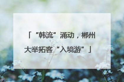 “韩流”涌动，郴州大举拓客“入境游”