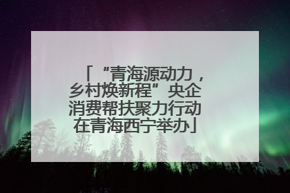 “青海源动力，乡村焕新程”央企消费帮扶聚力行动在青海西宁举办