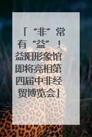 “非”常有“益”！益阳形象馆即将亮相第四届中非经贸博览会