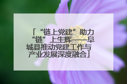 “链上党建”助力“链”上生辉——阜城县推动党建工作与产业发展深度融合