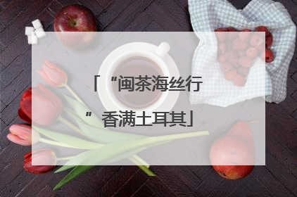 “闽茶海丝行”香满土耳其