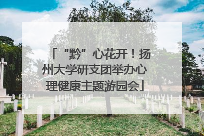“黔”心花开！扬州大学研支团举办心理健康主题游园会