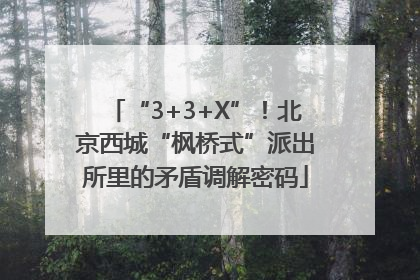“3+3+X”！北京西城“枫桥式”派出所里的矛盾调解密码