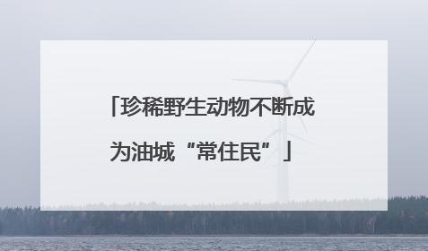 珍稀野生动物不断成为油城“常住民”