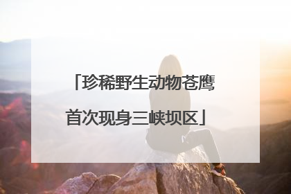 珍稀野生动物苍鹰首次现身三峡坝区