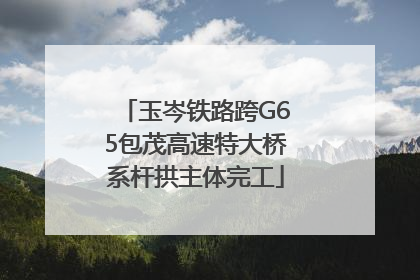 玉岑铁路跨G65包茂高速特大桥系杆拱主体完工
