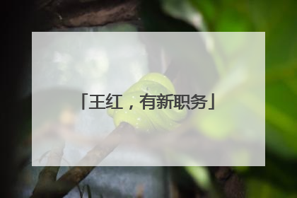 王红，有新职务