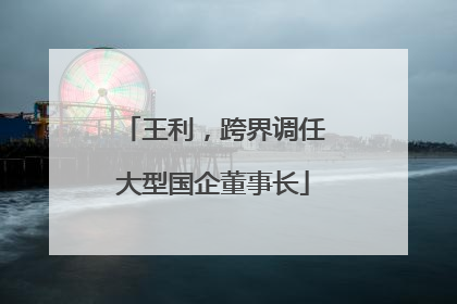 王利，跨界调任大型国企董事长