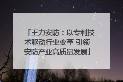 王力安防：以专利技术驱动行业变革 引领安防产业高质量发展