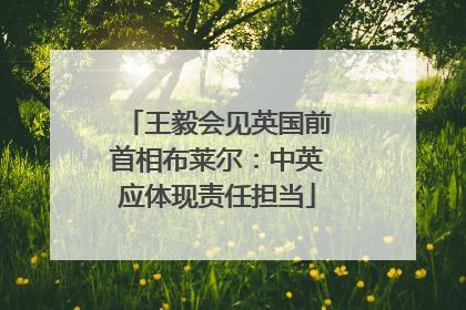 王毅会见英国前首相布莱尔：中英应体现责任担当