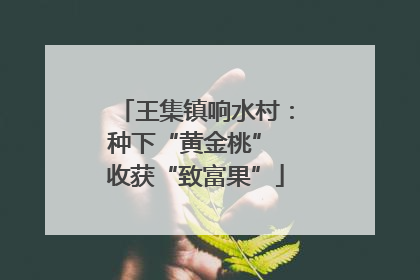 王集镇响水村：种下“黄金桃” 收获“致富果”