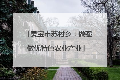 灵宝市苏村乡：做强做优特色农业产业