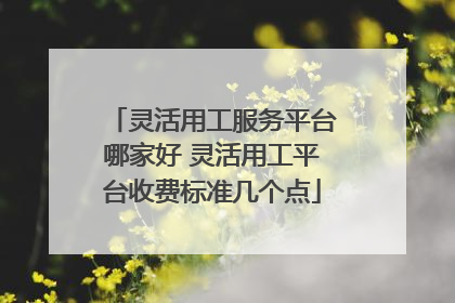 灵活用工服务平台哪家好 灵活用工平台收费标准几个点
