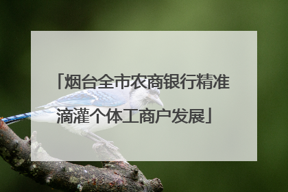 烟台全市农商银行精准滴灌个体工商户发展