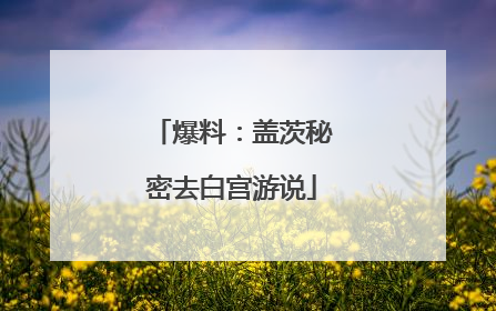 爆料：盖茨秘密去白宫游说