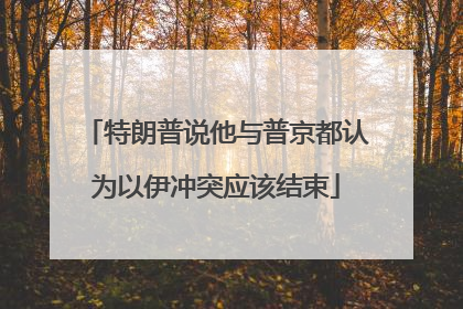 特朗普说他与普京都认为以伊冲突应该结束