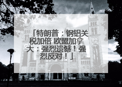 特朗普：钢铝关税加倍 欧盟加拿大：强烈遗憾！强烈反对！