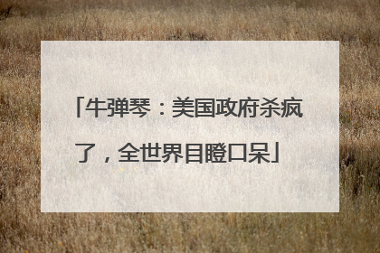 牛弹琴：美国政府杀疯了，全世界目瞪口呆