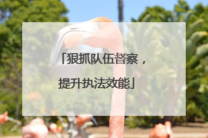 狠抓队伍督察，提升执法效能