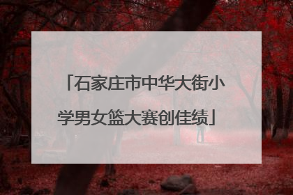 石家庄市中华大街小学男女篮大赛创佳绩