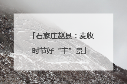 石家庄赵县：麦收时节好“丰”景