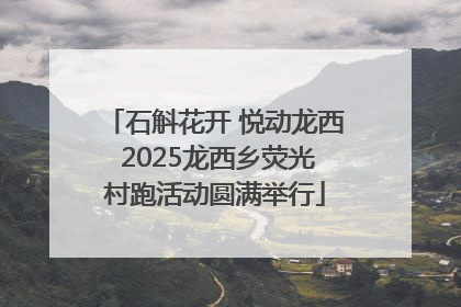 石斛花开 悦动龙西 2025龙西乡荧光村跑活动圆满举行