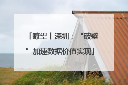 瞭望丨深圳：“破壁”加速数据价值实现