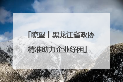 瞭望丨黑龙江省政协精准助力企业纾困