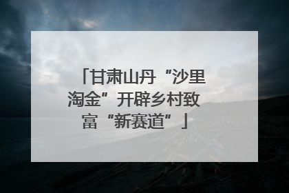 甘肃山丹“沙里淘金”开辟乡村致富“新赛道”