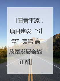 甘肃平凉：项目建设“引擎”轰鸣 高质量发展奋战正酣