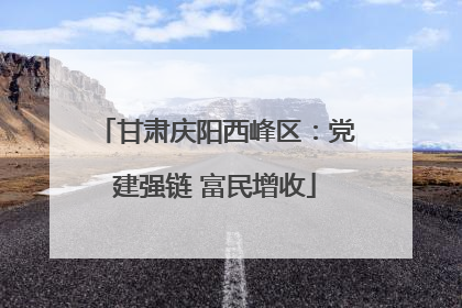 甘肃庆阳西峰区：党建强链 富民增收