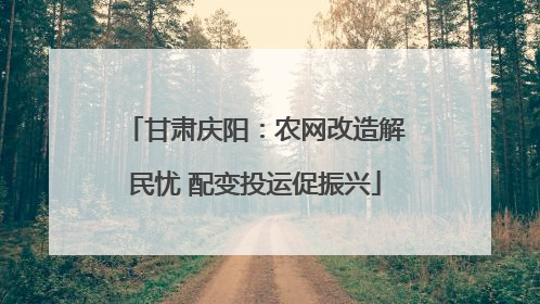 甘肃庆阳：农网改造解民忧 配变投运促振兴