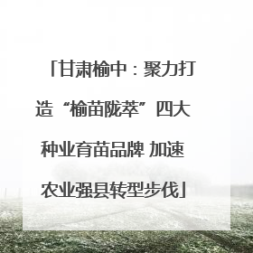 甘肃榆中：聚力打造“榆苗陇萃”四大种业育苗品牌 加速农业强县转型步伐