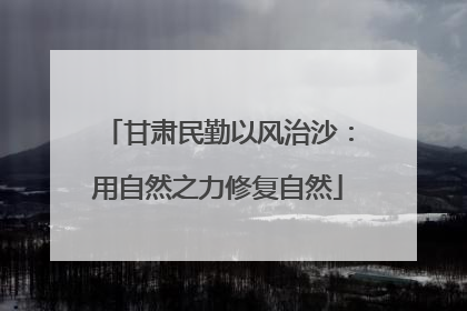 甘肃民勤以风治沙：用自然之力修复自然