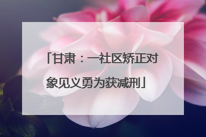 甘肃：一社区矫正对象见义勇为获减刑