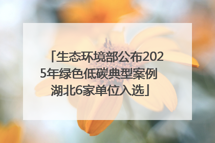 生态环境部公布2025年绿色低碳典型案例 湖北6家单位入选