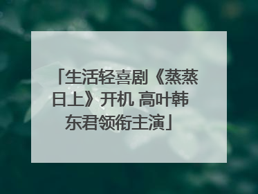生活轻喜剧《蒸蒸日上》开机 高叶韩东君领衔主演