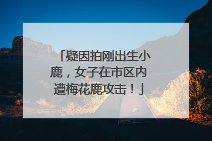 疑因拍刚出生小鹿，女子在市区内遭梅花鹿攻击！