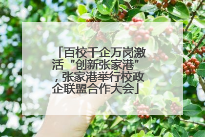 百校千企万岗激活“创新张家港”，张家港举行校政企联盟合作大会