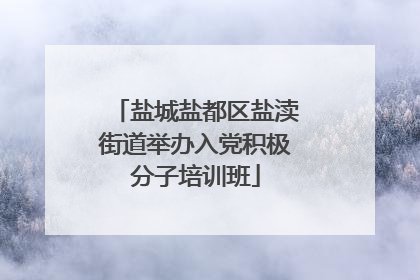 盐城盐都区盐渎街道举办入党积极分子培训班