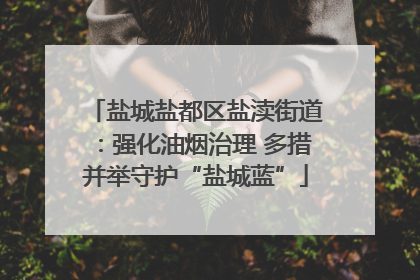 盐城盐都区盐渎街道：强化油烟治理 多措并举守护“盐城蓝”