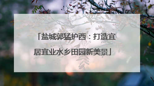 盐城郭猛护西：打造宜居宜业水乡田园新美景