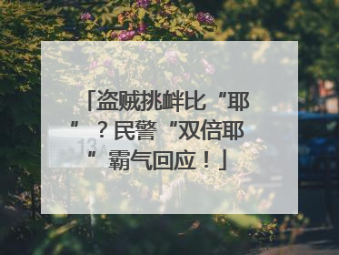 盗贼挑衅比“耶”？民警“双倍耶”霸气回应！