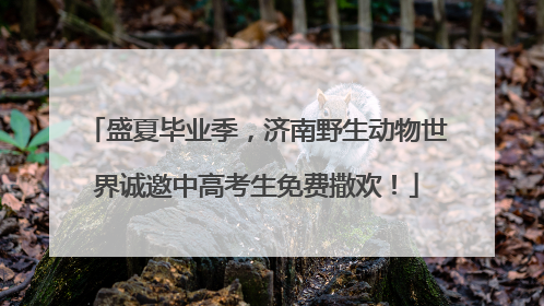 盛夏毕业季，济南野生动物世界诚邀中高考生免费撒欢！