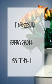 盛蕾调研防汛准备工作