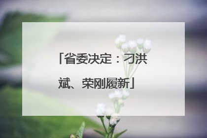 省委决定：刁洪斌、荣刚履新