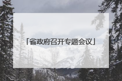 省政府召开专题会议